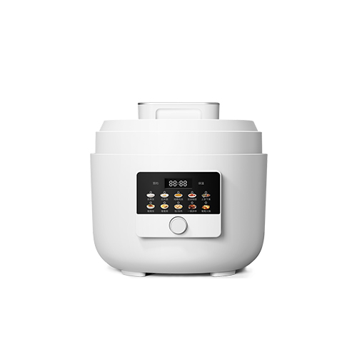 Electric Pressure Cooker